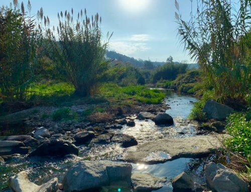 Cuidando la salud de nuestro río en Sabadell