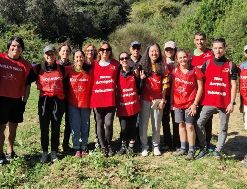 *Projecte Rius* Voluntariat ecològic a la Riera de Vallvidrera