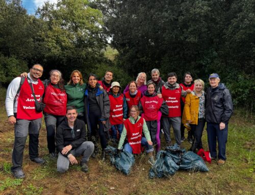 Projecte Rius: inspección de otoño en la riera de Vallvidrera